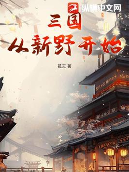 三国：从新野开始